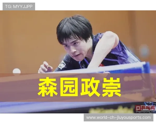 乒乓德甲俱乐部商业破局，欧洲观察深度分析，德国乒乓俱乐部